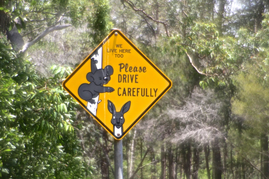 Koala sign in Australia
